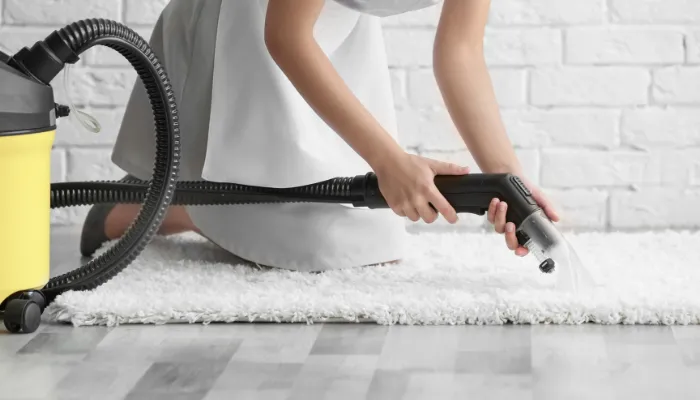 Cleaning an Area Rug with a Steam Cleaner