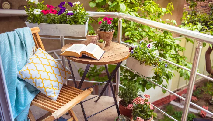 Varieties of Plants to Decorate Your Terrace