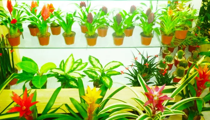 What are artificial plants